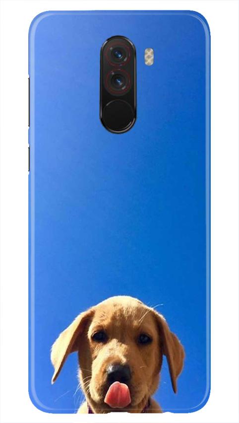 Dog Mobile Back Case for Poco F1 (Design - 332) Dog Mobile Back Case for Poco F1 (Design - 332)