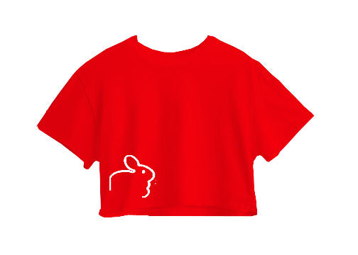 Rabbit Crop Top Rabbit Crop Top