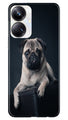 little Puppy Case for Realme 10 Pro Plus 5G