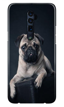 little Puppy Case for Oppo Reno 2
