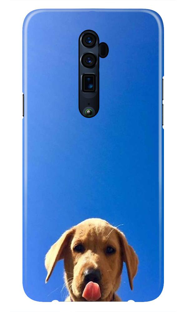 Dog Mobile Back Case for Oppo Reno 10X Zoom  (Design - 332)