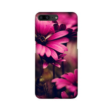 Purple Daisy Case for OnePlus 5
