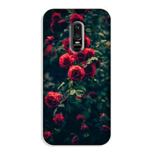 Red Rose Case for OnePlus 6