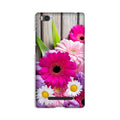 Coloful Daisy2 Case for Redmi 4A