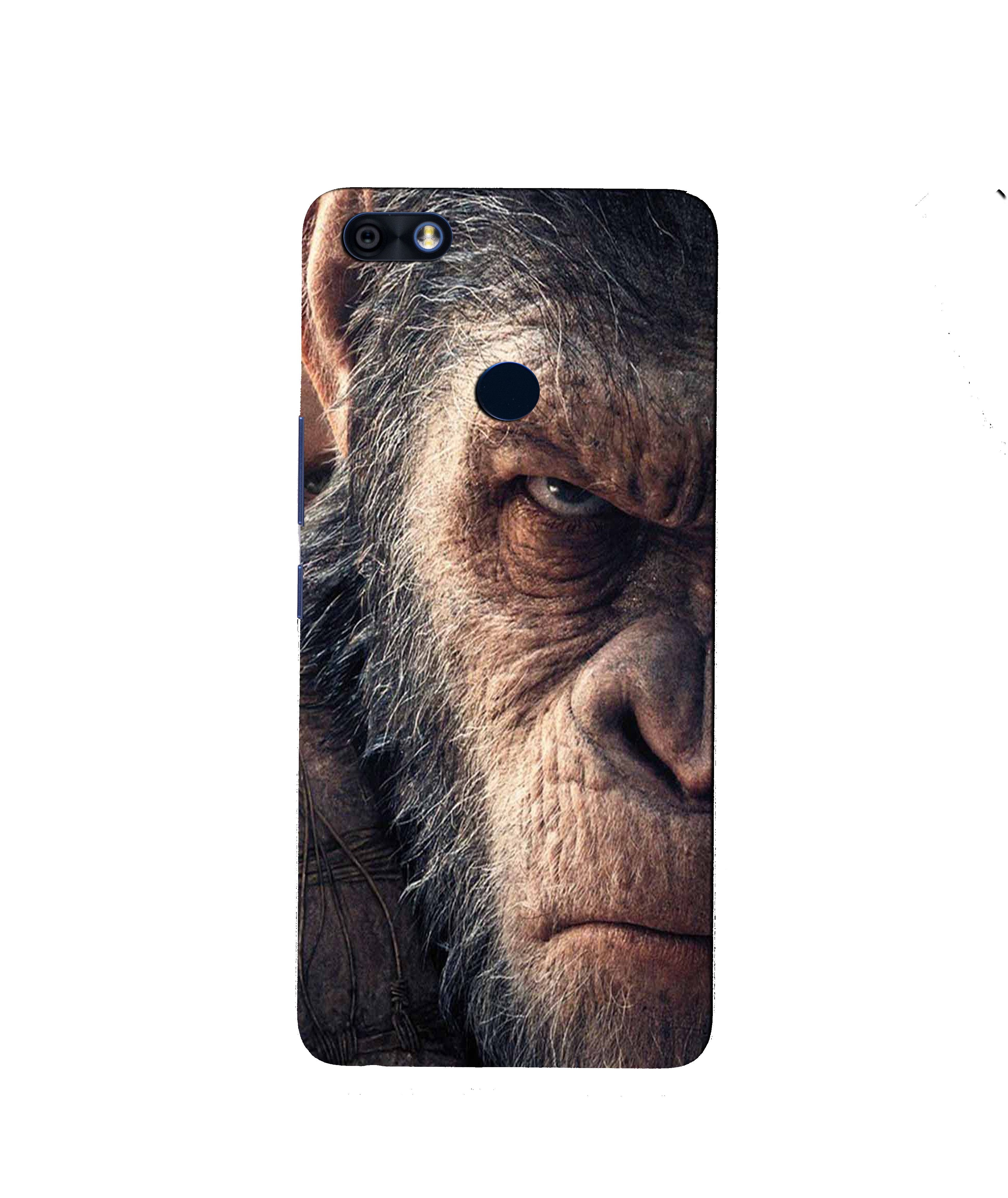 Angry Ape Mobile Back Case for Infinix Note 5 / Note 5 Pro (Design - 316)