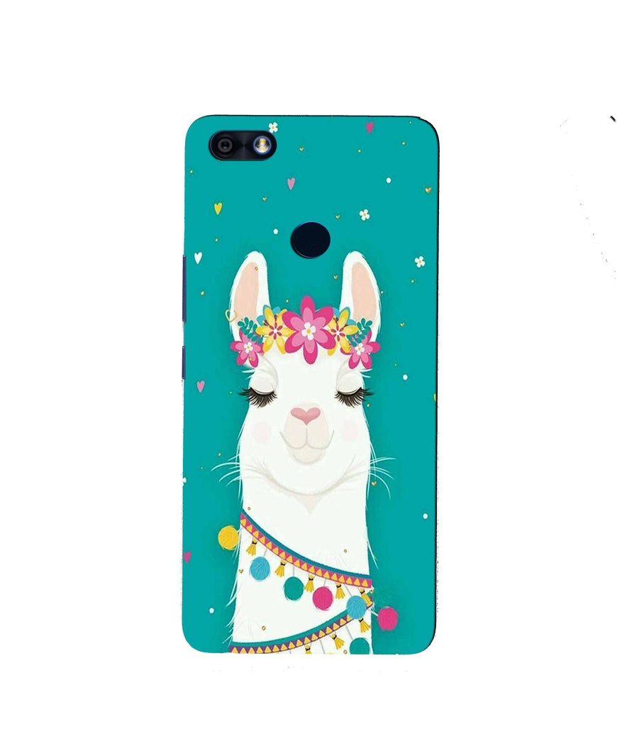 Camel Mobile Back Case for Infinix Note 5 / Note 5 Pro (Design - 331)