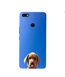 Dog Mobile Back Case for Infinix Note 5 / Note 5 Pro (Design - 332)