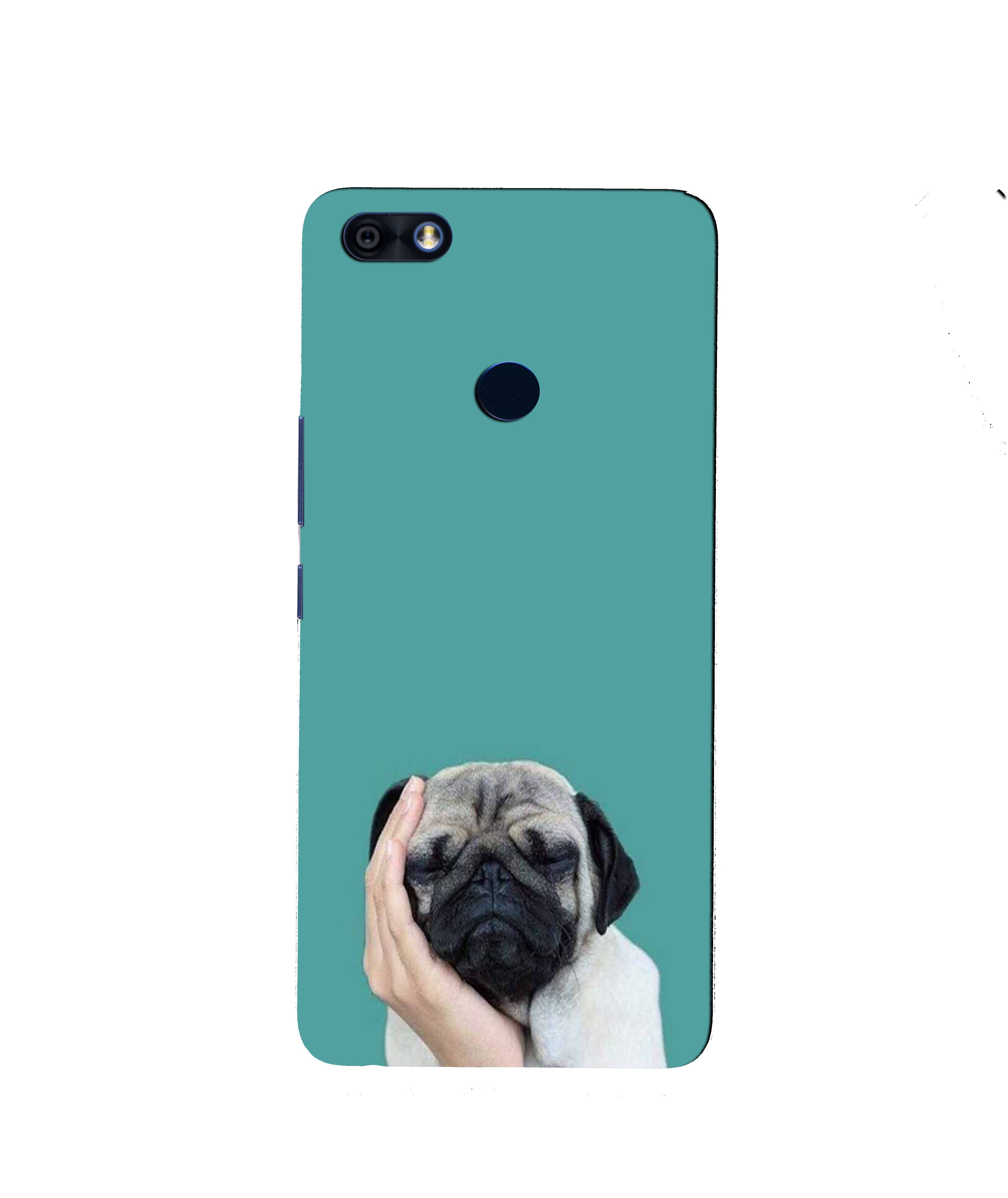 Puppy Mobile Back Case for Infinix Note 5 / Note 5 Pro (Design - 333)