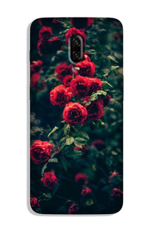 Red Rose Case for OnePlus 6T