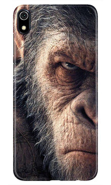 Angry Ape Mobile Back Case for Redmi 7A  (Design - 316)