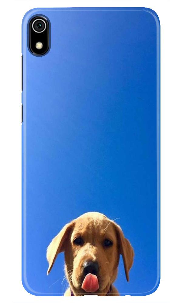 Dog Mobile Back Case for Redmi 7A  (Design - 332)