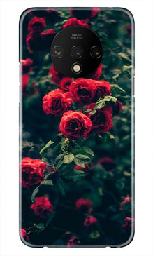 Red Rose Mobile Back Case for OnePlus 7T (Design - 66)