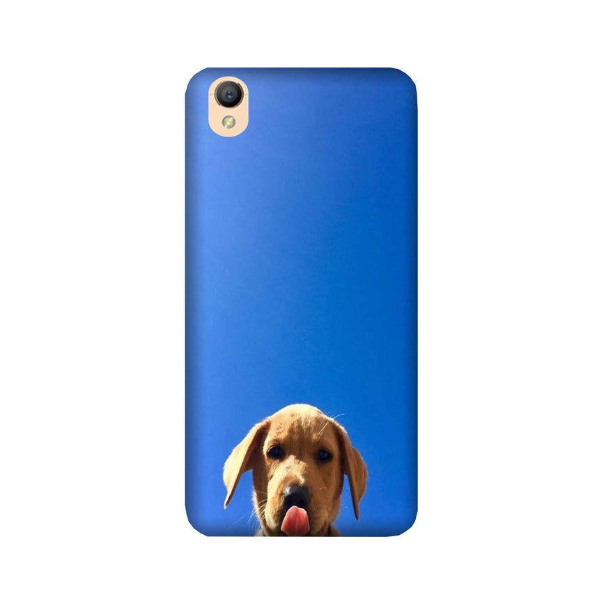 Dog Mobile Back Case for Oppo A37  (Design - 332)