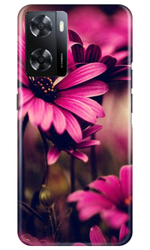 Purple Daisy Mobile Back Case for Oppo A57 2022 (Design - 65)