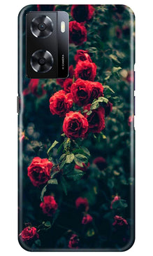 Red Rose Mobile Back Case for Oppo A57 2022 (Design - 66)