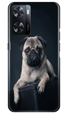 little Puppy Mobile Back Case for Oppo A57 2022 (Design - 68)