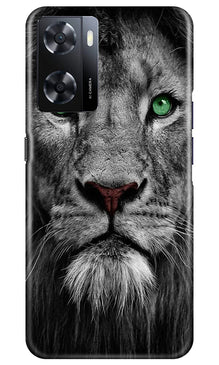 Lion Mobile Back Case for Oppo A57 2022 (Design - 241)