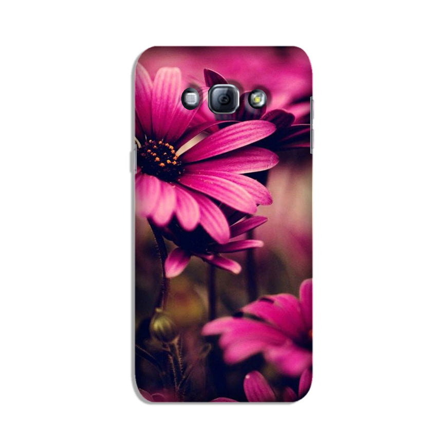 Purple Daisy Case for Galaxy A8 (2015)