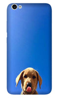 Dog Mobile Back Case for Vivo Y81i (Design - 332)