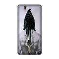 Lord Shiva Case for Sony C4  (Design - 135)