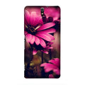 Purple Daisy Case for Sony C5