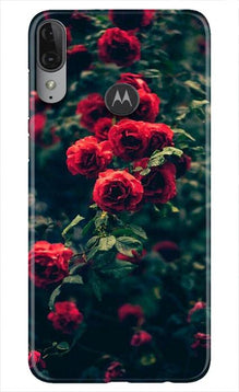 Red Rose Mobile Back Case for Moto E6s (Design - 66)