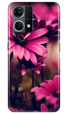 Purple Daisy Mobile Back Case for Oppo F12 Pro (Design - 65)