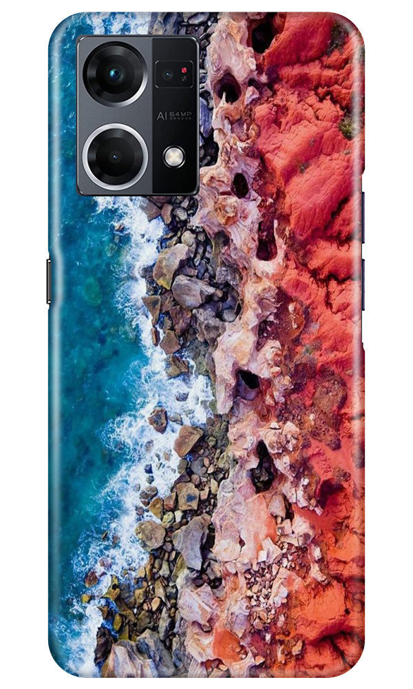 Lion Case for Oppo F12 Pro (Design No. 241)