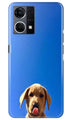 Dog Mobile Back Case for Oppo F12 Pro (Design - 294)