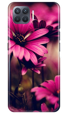 Purple Daisy Mobile Back Case for Oppo F17 Pro (Design - 65)