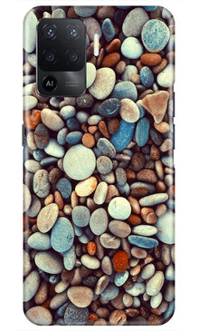 Pebbles Mobile Back Case for Oppo F19 Pro (Design - 205)