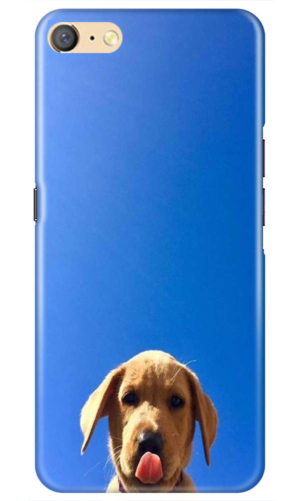 Dog Mobile Back Case for Oppo F1s  (Design - 332)