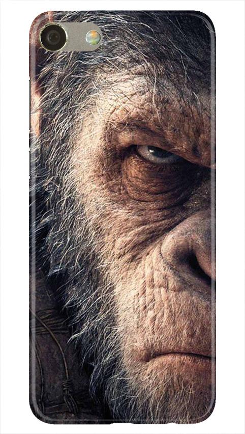 Angry Ape Mobile Back Case for Oppo F3  (Design - 316)