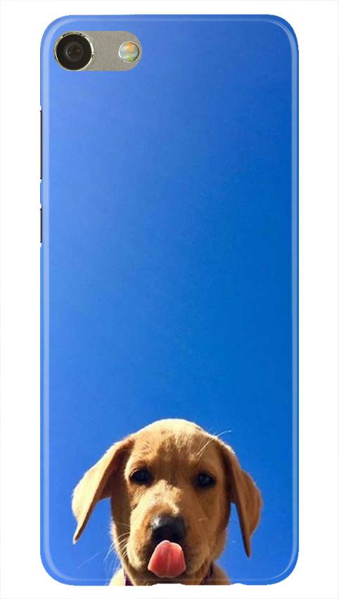Dog Mobile Back Case for Oppo F3  (Design - 332)