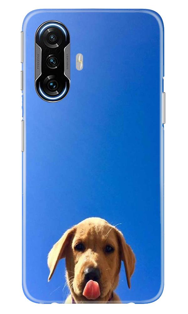 Dog Mobile Back Case for Poco F3 GT 5G (Design - 332)