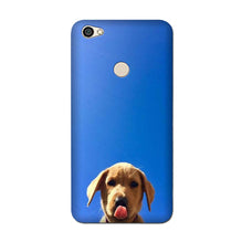 Dog Mobile Back Case for Redmi Y1 Lite (Design - 332)