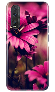 Purple Daisy Mobile Back Case for Oppo Find X2 (Design - 65)