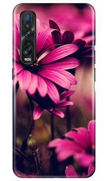 Purple Daisy Mobile Back Case for Oppo Find X2 Pro (Design - 65)