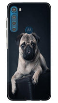 little Puppy Case for Moto One Fusion Plus