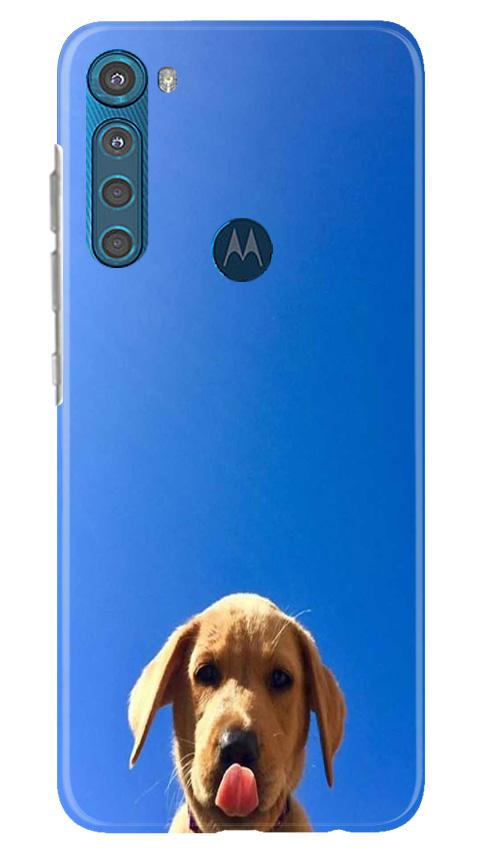 Dog Mobile Back Case for Moto One Fusion Plus (Design - 332)