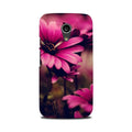 Purple Daisy Case for Moto G2