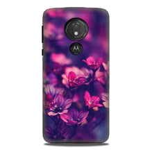 flowers Mobile Back Case for G7power (Design - 25)