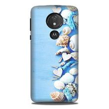 Sea Shells2 Mobile Back Case for G7power (Design - 64)