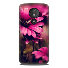 Purple Daisy Mobile Back Case for G7power (Design - 65)