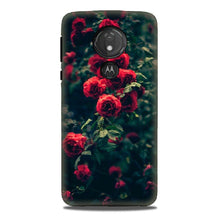 Red Rose Mobile Back Case for G7power (Design - 66)