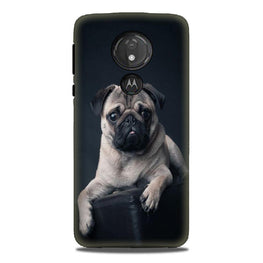 little Puppy Case for G7power
