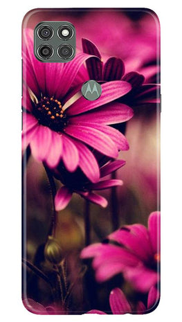 Purple Daisy Case for Moto G9 Power