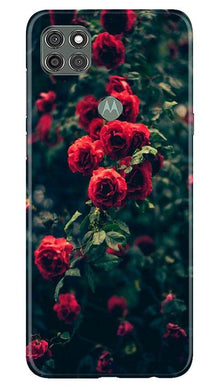 Red Rose Mobile Back Case for Moto G9 Power (Design - 66)