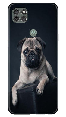 little Puppy Mobile Back Case for Moto G9 Power (Design - 68)