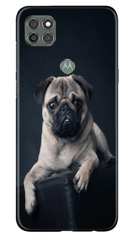 little Puppy Case for Moto G9 Power
